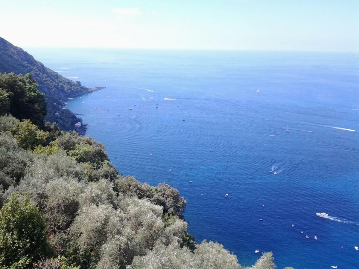 卡莫利Casa Constanza Pace E Relax In Liguria公寓 外观 照片